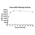 Kras G12A–cRAF Binding Assay Kit